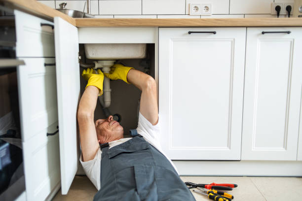 Best Garbage Disposal Repair and Installation  in Brandon, MS