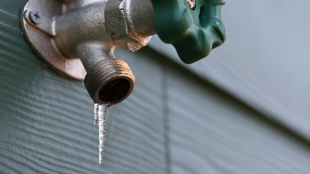 Green Plumbing Solutions and Water Conservation in Brandon, MS